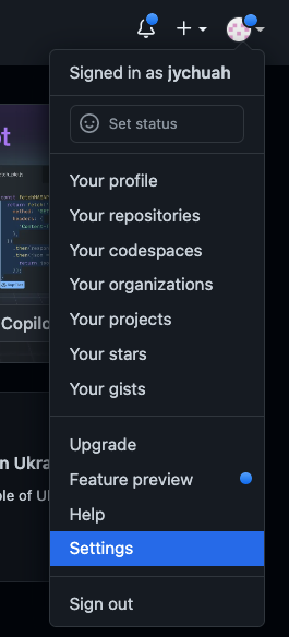 GitHub settings